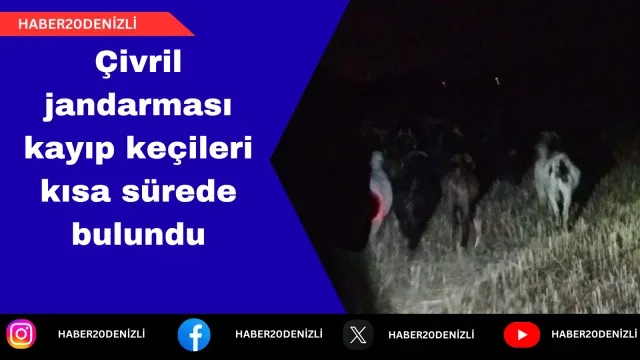 Çivril jandarması kayıp keçileri kısa sürede bulundu