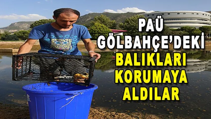 PAÜ Gölbahçe'deki Balıkları Korumaya Aldılar