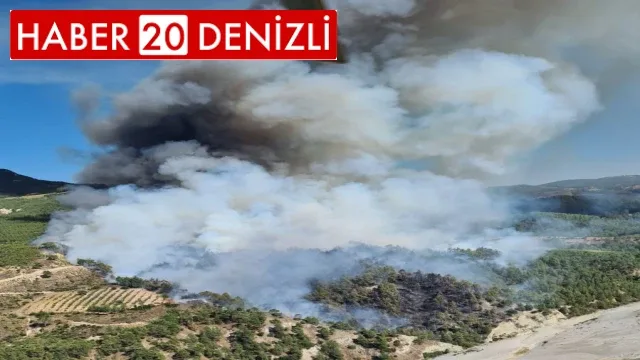 Muğla il sınırında orman yangını