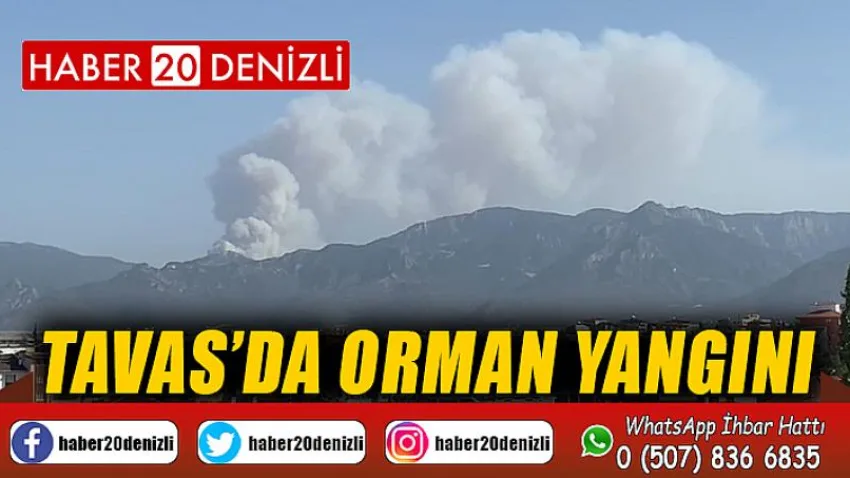 Tavas’da orman yangını