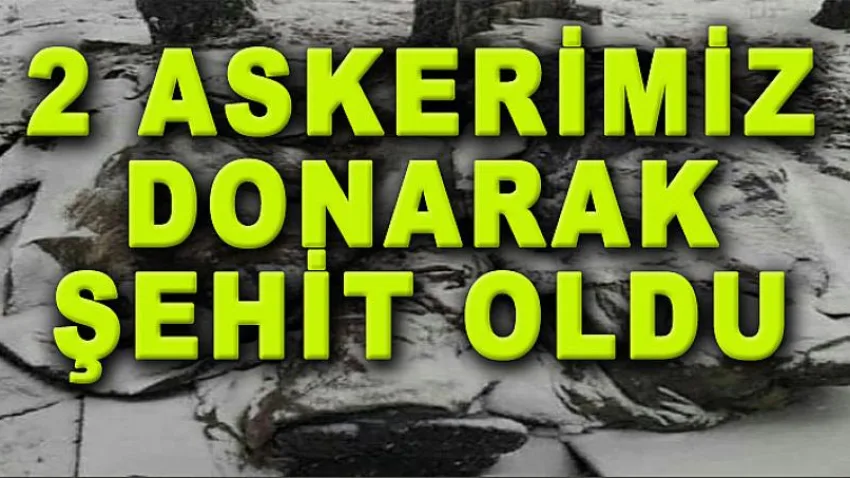 2 Askerimiz Donarak Şehit Oldu