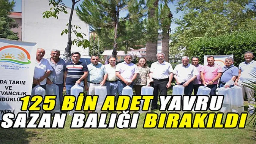 125 Bin Adet Yavru Sazan Balığı Bırakıldı