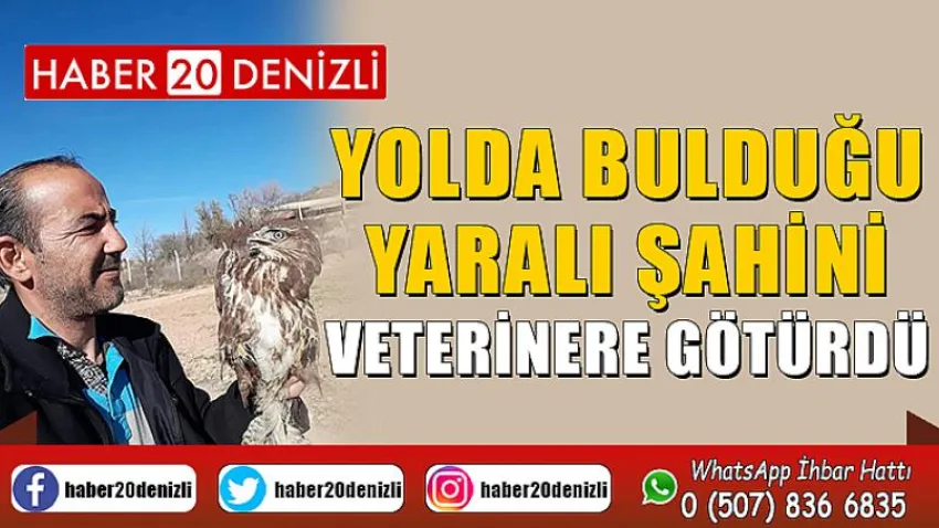 Yolda bulduğu yaralı şahini veterinere götürdü