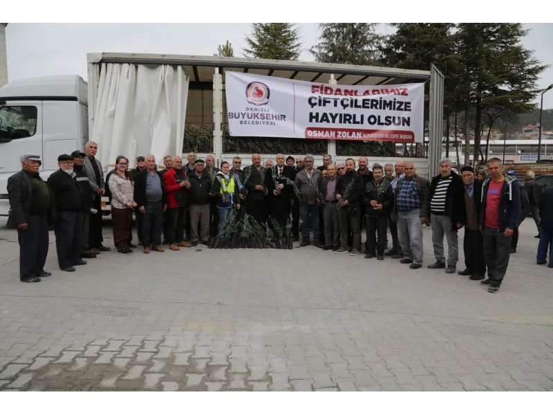 Çamelili çiftçilere 5 bin adet zeytin fidanı dağıtıldı