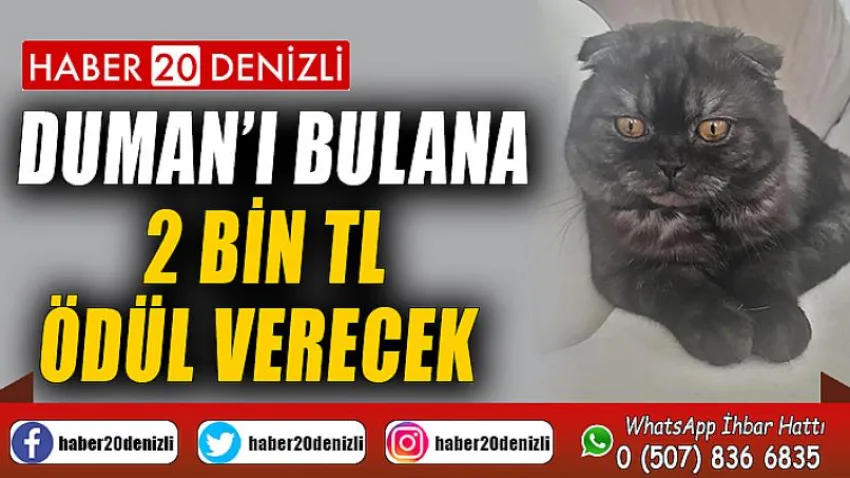 Duman’ı bulana 2 bin TL ödül verecek
