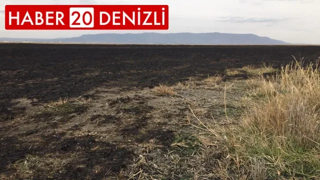 Sazlık yangının doğaya verdiği zararın bilançosu ağır oldu