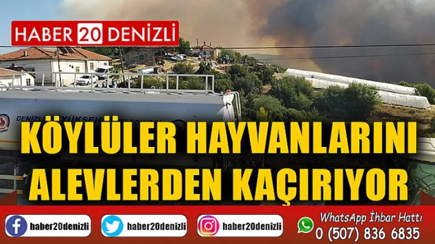 Köylüler hayvanlarını alevlerden kaçırıyor