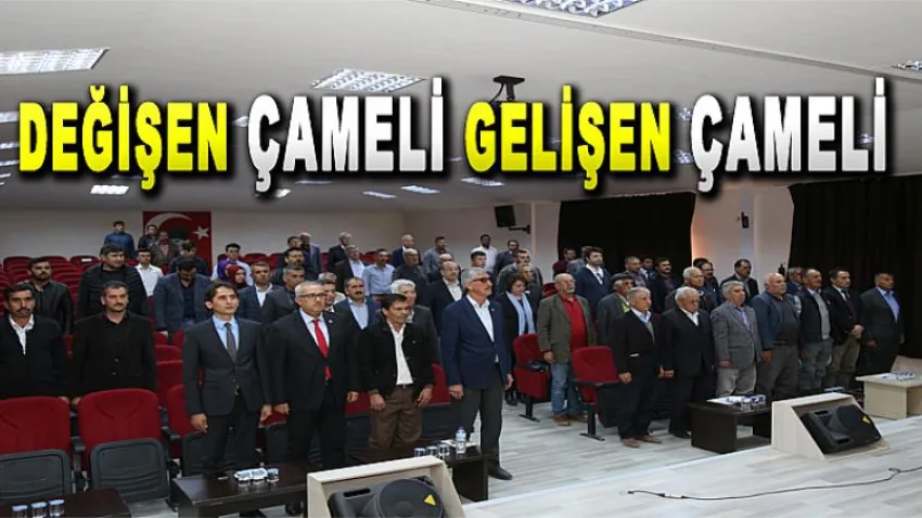 Değişen Çameli Gelişen Çameli