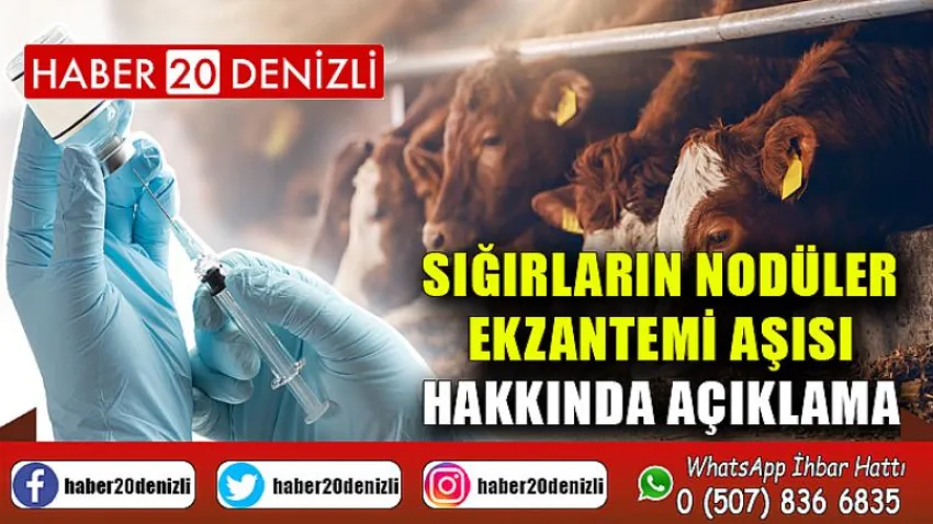 Sığırların Nodüler Ekzantemi Aşısı Hakkında Açıklama