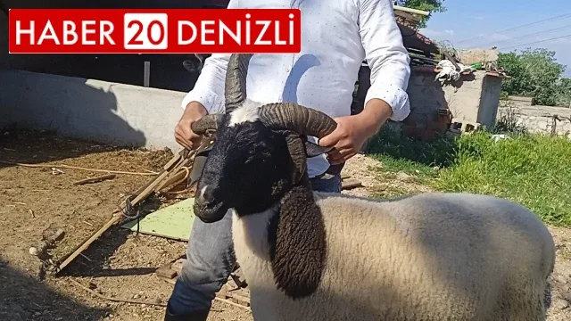 Sıra dışı koçlar alıcılarını bekliyor