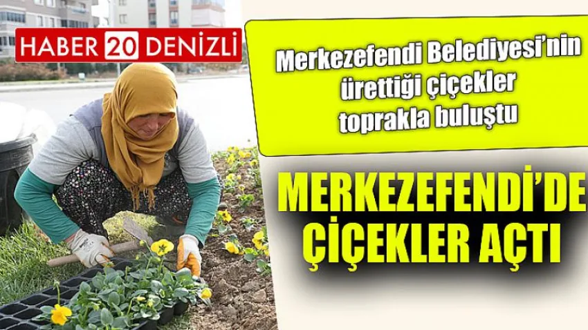 Merkezefendi’de Çiçekler Açtı