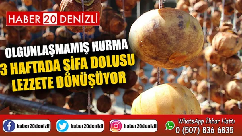 Olgunlaşmamış hurma 3 haftada şifa dolusu lezzete dönüşüyor