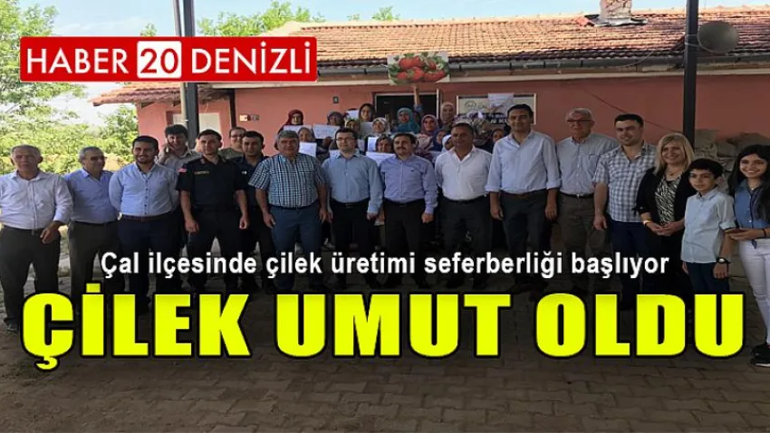 Çilek Umut Oldu
