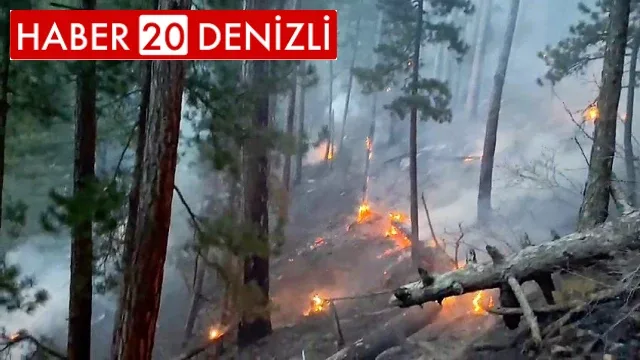 Denizli’deki orman yangınına güçlükle müdahale ediliyor