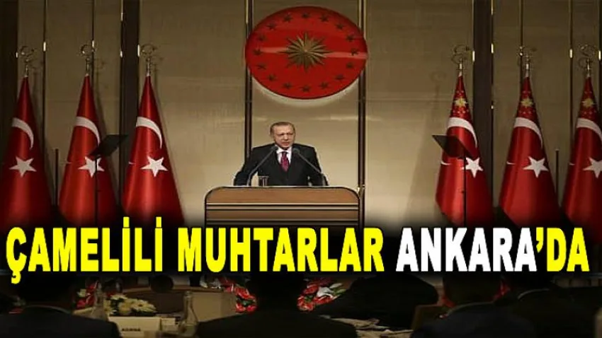 Çamelili Muhtarlar Ankara'da