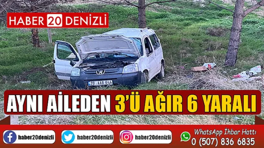 Takla atan ticari araç şarampole uçtu