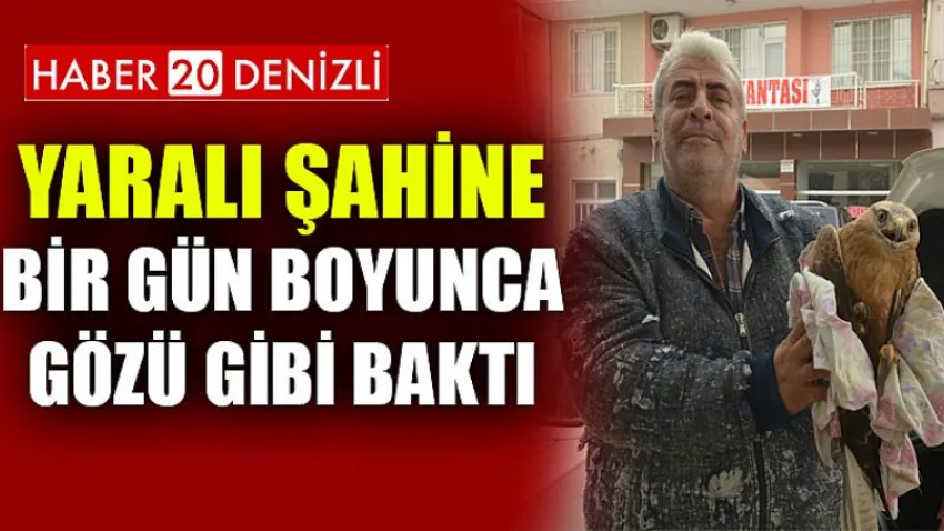 Yaralı şahine bir gün boyunca gözü gibi baktı