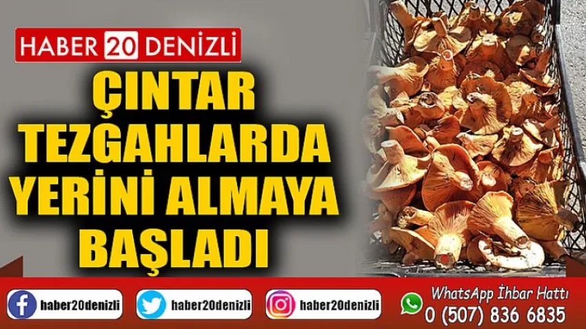Çıntar tezgahlarda yerini almaya başladı