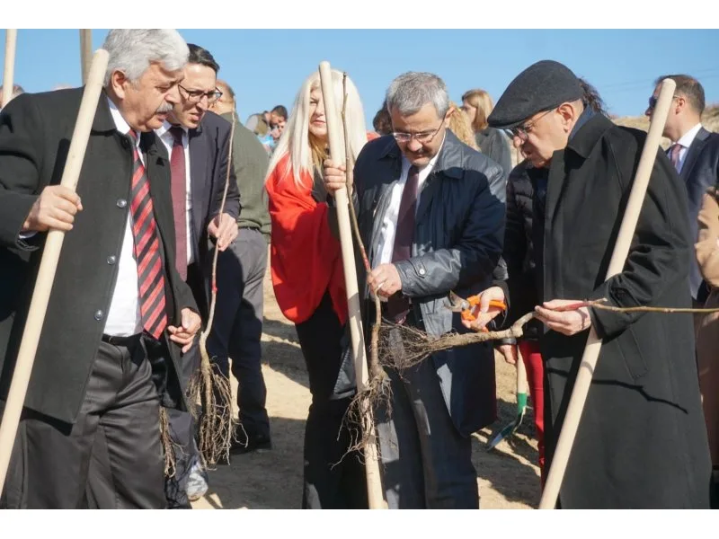 Çivril'de 15 Temmuz şehitleri anısına 300 ceviz fidanı toprakla buluşturuldu