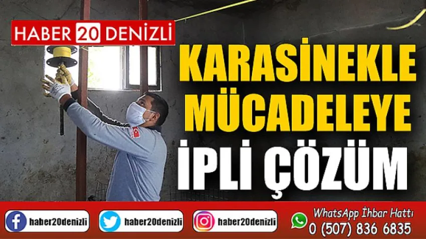 Pamukkale Belediyesi’nden Karasinekle Mücadeleye İpli Çözüm