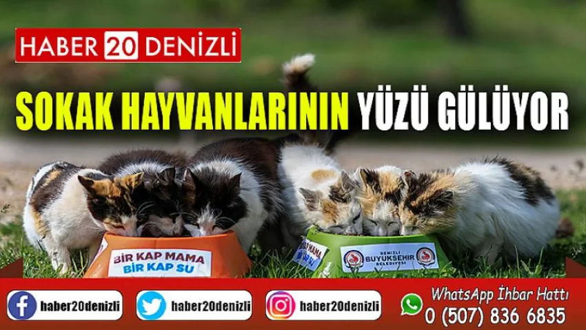Sokak hayvanlarının yüzü gülüyor