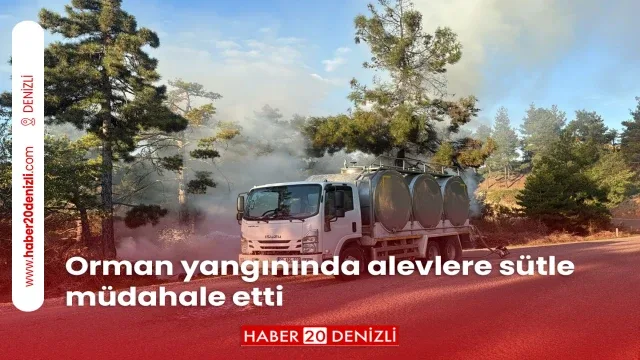 Orman yangınında alevlere sütle müdahale etti