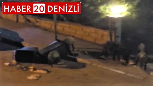 Aç kalan domuz sürüsü şehre inip çöpleri karıştırdı