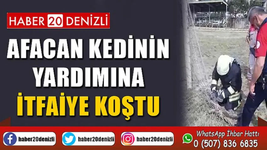 Kale ağlarına takılan afacan kedinin yardımına itfaiye koştu