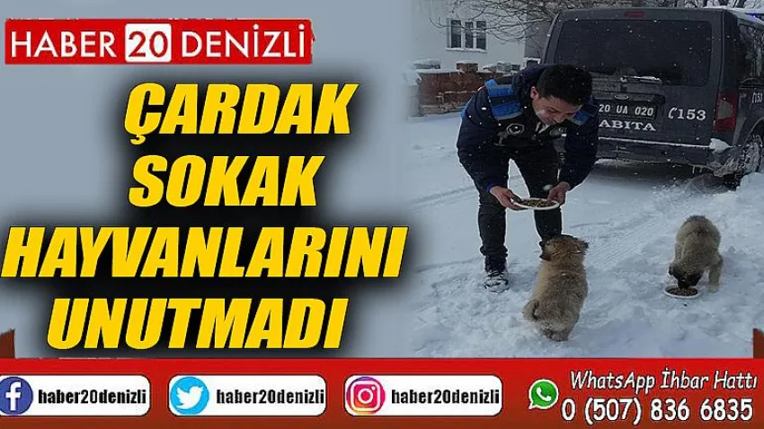 Çardak Sokak Hayvanlarını Unutmadı