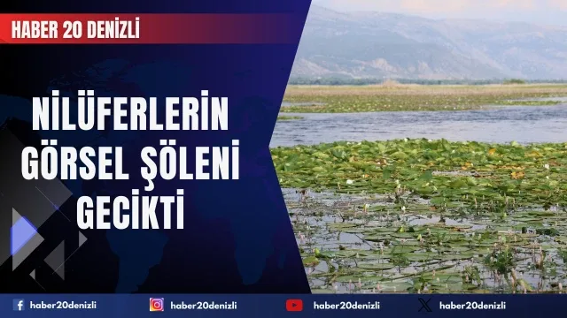 Geçen yıl kuraklık, bu yıl ise aşırı yağışlar nilüferlerin görsel şölenini geciktirdi