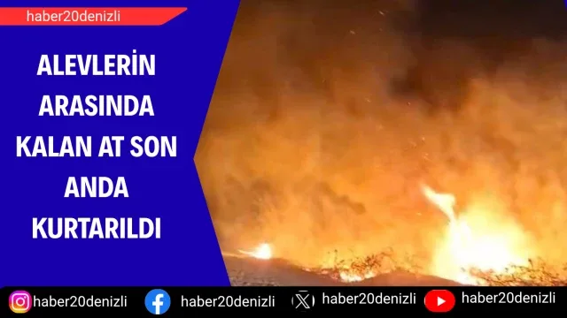Alevlerin arasında kalan at son anda kurtarıldı