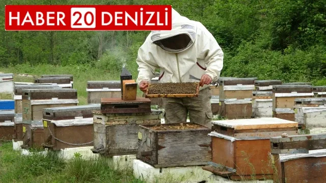 Bahar yağmurları arıcıların yüzünü güldürdü