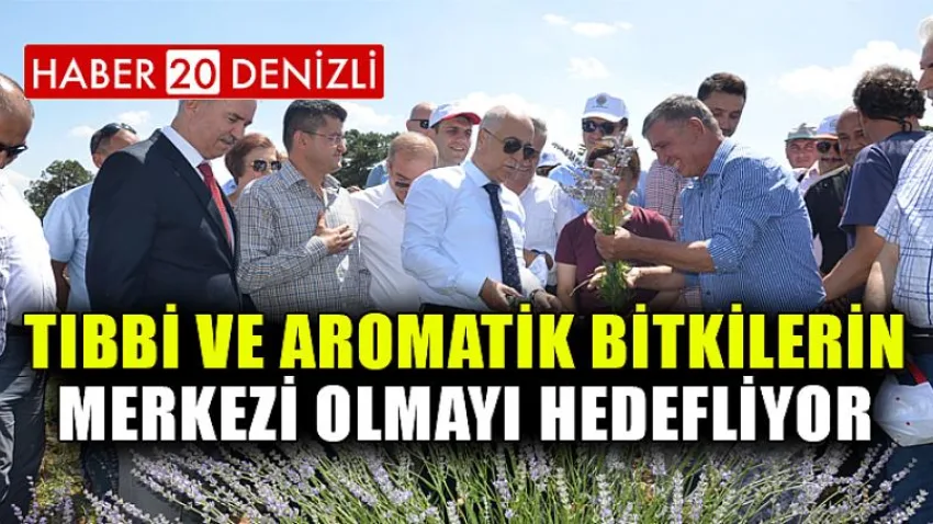 Tıbbi ve Aromatik Bitkilerin Merkezi Olmayı Hedefliyor