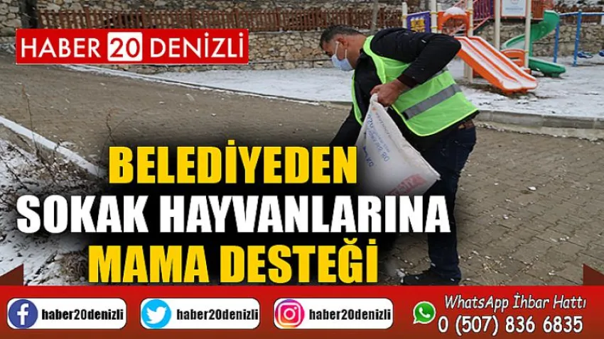 Belediyeden Sokak Hayvanlarına Mama Desteği
