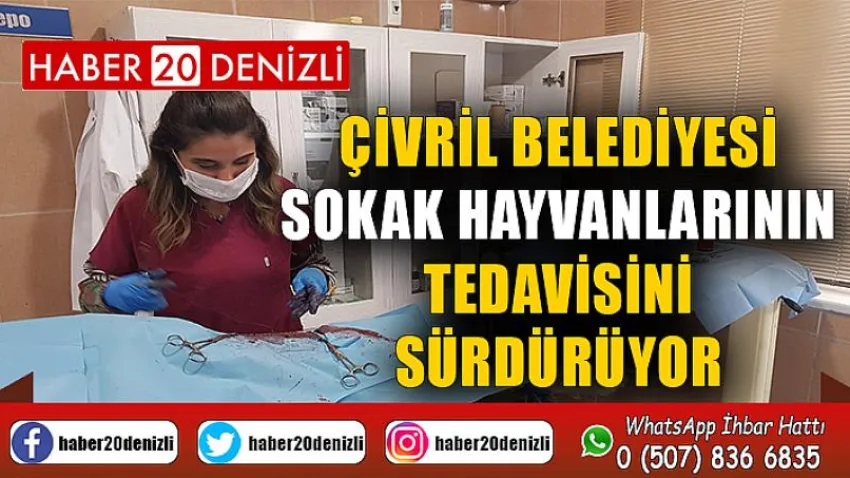 Çivril Belediyesi Sokak Hayvanlarının Tedavisini Sürdürüyor