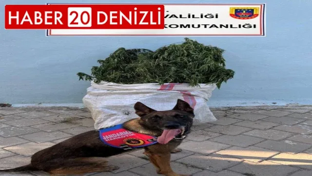 Denizli'de 10 kilo esrar yakalandı