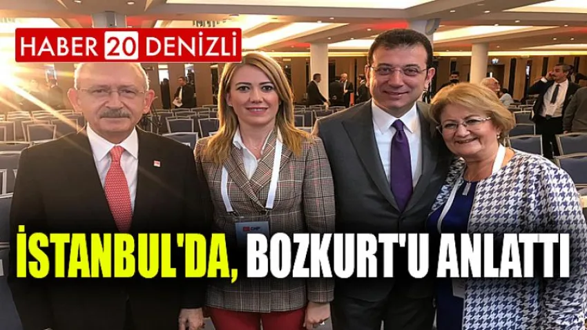 İstanbul'da, Bozkurt'u Anlattı