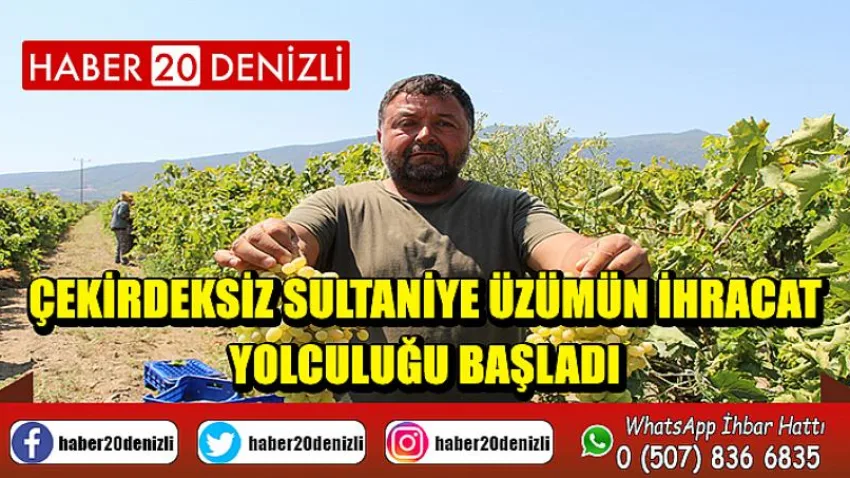 Çekirdeksiz Sultaniye üzümün ihracat yolculuğu başladı