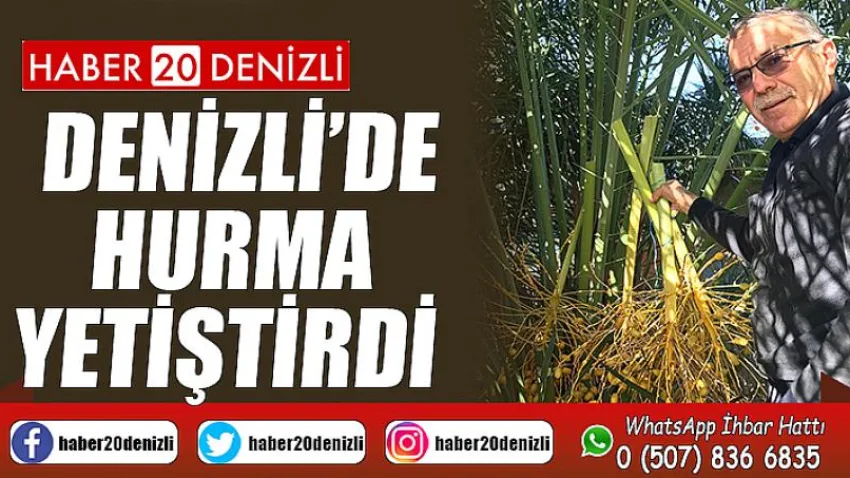 Denizli’de hurma yetiştirdi