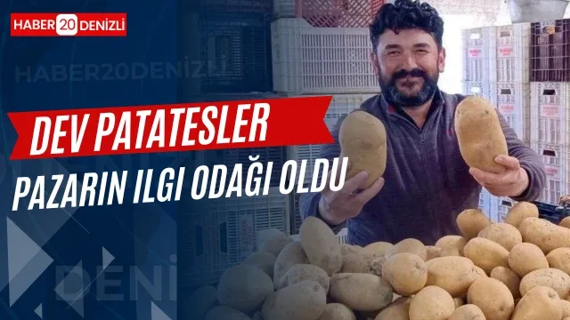Dev patatesler pazarın ilgi odağı oldu
