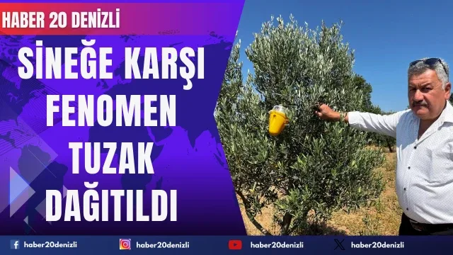 Buldan’da zeytin sineğine karşı fenomen tuzak dağıtıldı