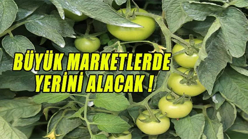 Büyük Marketlerde Yerini Alacak