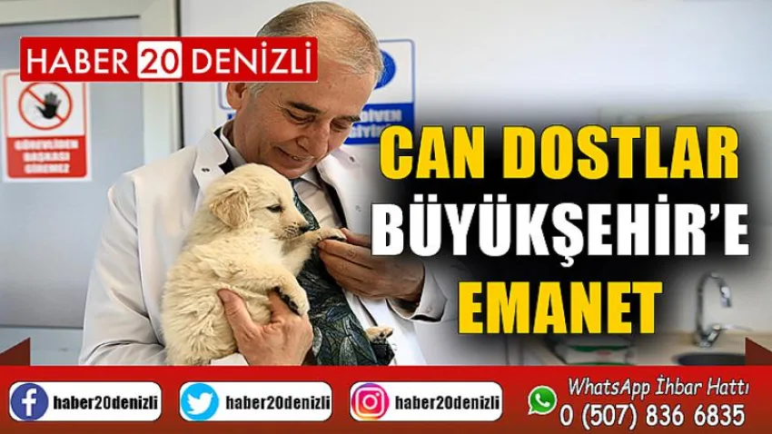 Can dostlar Büyükşehir’e emanet