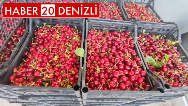 Başkan Kepenek ihracatçı mağduru kiraz üreticinin sesi oldu