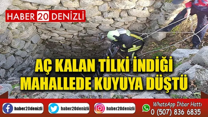 Aç kalan tilki indiği mahallede kuyuya düştü