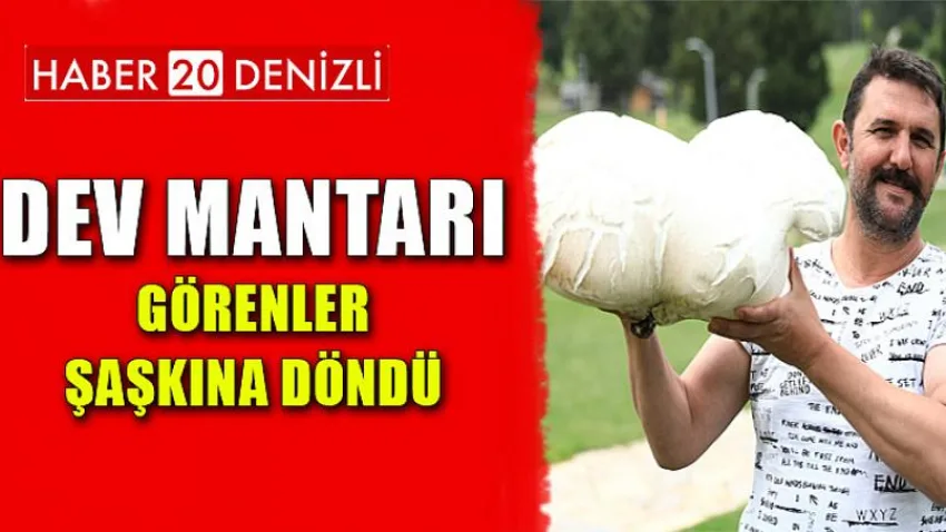 Dev Mantarı Görenler Şaşkına Döndü