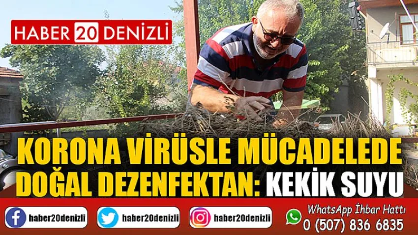 Korona virüsle mücadelede doğal dezenfektan: Kekik suyu