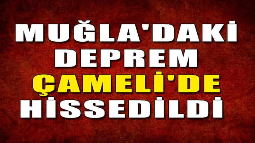 Muğla'daki Deprem Çameli'de Hissedildi