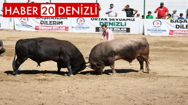 On binlerce Denizlili boğa güreşinin heyecanını yaşadı