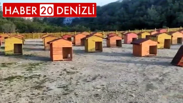 Gönüllü hayvan dostlarından Başkan Şevik’e teşekkür ziyareti